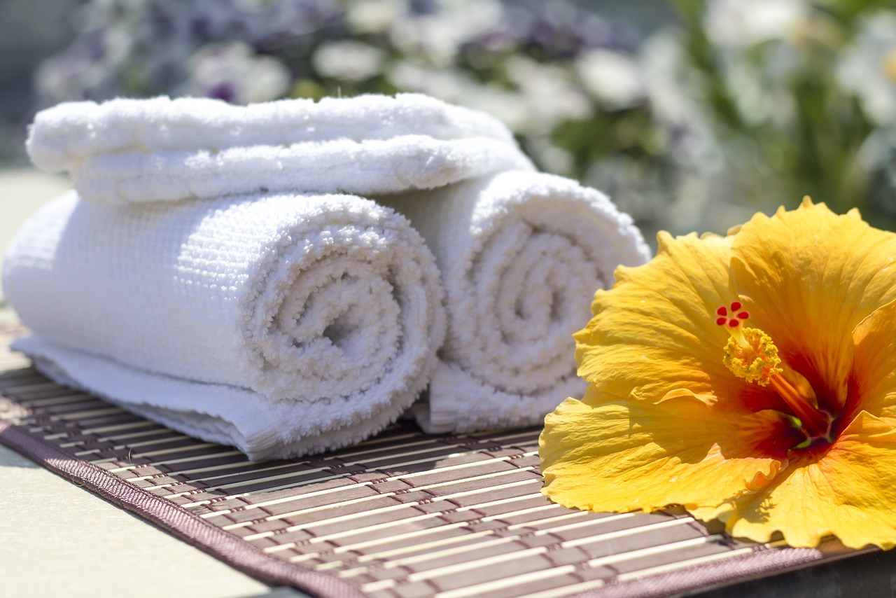 towel, hibiscus, clean-2608073.jpg